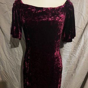 Gorgeous Eliza J Velveteen Dress